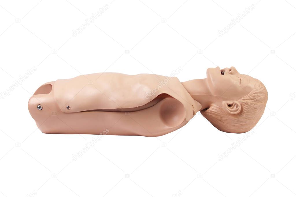 Cpr training dummy, young child, male