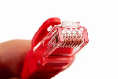 8P8C, RJ-45 kırmızı ethernet bağlayıcısını kıstırmış, kalkansız çift UTP internet kablosu el ele, makro, detay, yakın plan. Bireysel kablolar görünür. Kablolu yayın basit bir kavramı engelliyor. Beyazda izole edilmiş