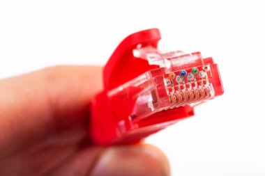 8P8C, RJ-45 sıkıştırılmış kırmızı ethernet modüler bağlantı, kalkansız çift UTP internet kablosu elde, makro, detay, yakın plan. Bireysel kablolar görünür. Kablo sıkıştırma basit kavram, izole