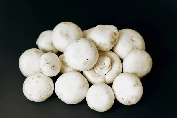 Champignon Svamp Svart Bakgrund Utrymme För Text — Stockfoto