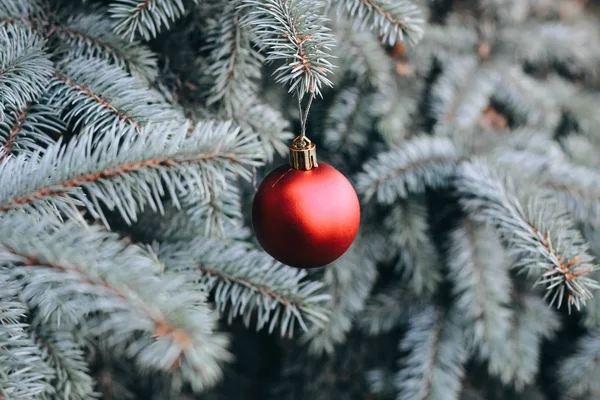 가지에 크리스마스 장난감 성냥개비 공으로 장식된 크리스마스 — 스톡 사진