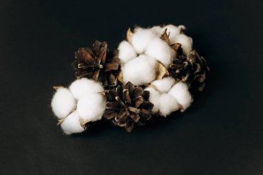 Kuru pamuklu çiçek kutuları ve koyu arkaplanda köknar konileri.