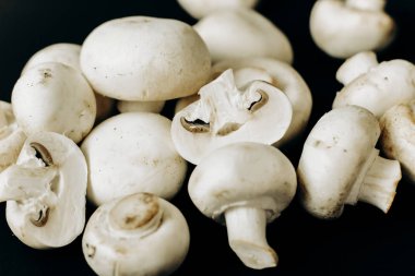 Siyah arka planda şampiyon mantarları. Metin için boşluk