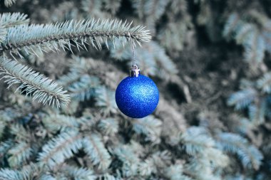 Yılbaşı ağacının dallarında bir Noel oyuncağı. Noel ağacı süslü bir baloyla süslenmiş.