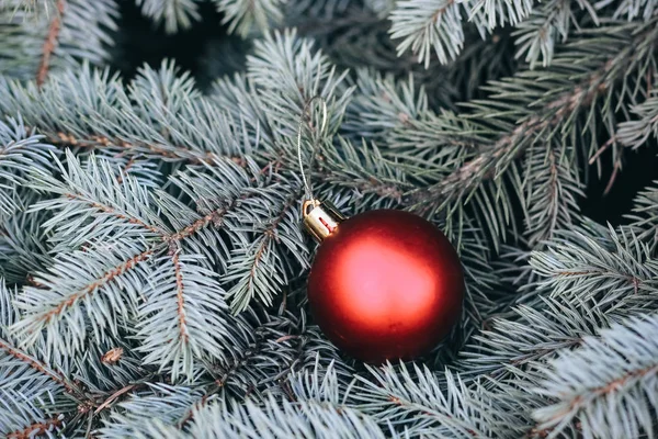Brinquedo Natal Nos Ramos Uma Árvore Ano Novo Árvore Natal — Fotografia de Stock