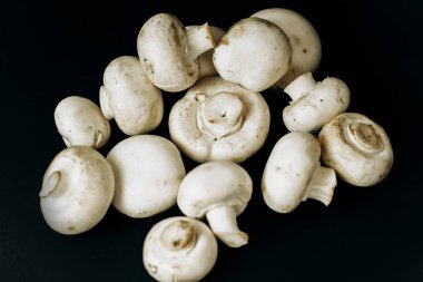 Siyah arka planda şampiyon mantarları. Metin için boşluk