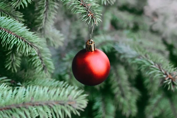 Χριστουγεννιάτικο Παιχνίδι Στα Κλαδιά Του Δέντρου Της Πρωτοχρονιάς Χριστουγεννιάτικο Δέντρο — Φωτογραφία Αρχείου