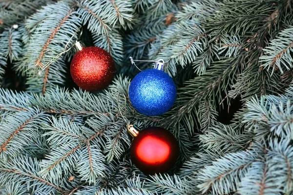 Yılbaşı Ağacının Dallarında Bir Noel Oyuncağı Noel Ağacı Süslü Bir — Stok fotoğraf