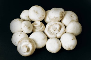 Siyah arka planda şampiyon mantarları. Metin için boşluk