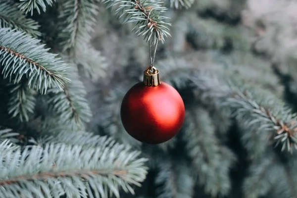 Jouet Noël Sur Les Branches Arbre Nouvel Arbre Noël Décoré — Photo