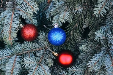 Yılbaşı ağacının dallarında bir Noel oyuncağı. Noel ağacı süslü bir baloyla süslenmiş.