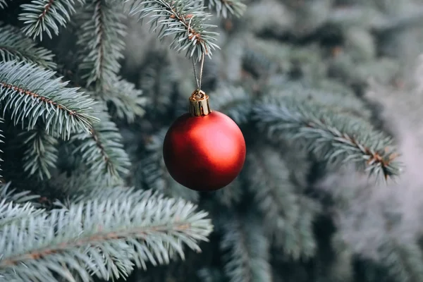 Brinquedo Natal Nos Ramos Uma Árvore Ano Novo Árvore Natal — Fotografia de Stock