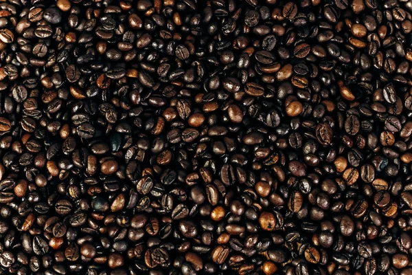 a lot of coffee beans on a wooden background. background and space for text