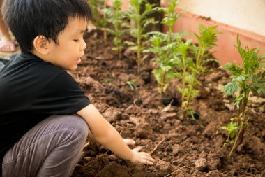 Elleri ile delik ağaç bitki için oturan bir çocuk