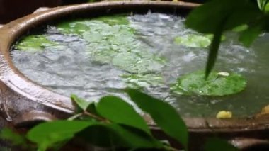 Yağmurlu bir gün ve yağmur lotus gölde dalga su olun.