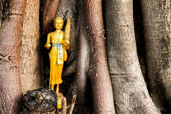 De oude gouden kleur boeddhabeeld werd achtergelaten op de grote boom tempel. — Stockfoto