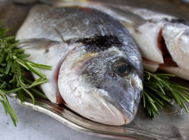 Gümüş tepside biberiyeli taze ve çiğ dorada balığı.