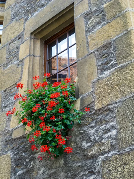 Bunte Blumenkästen Auf Der Fensterbank Eines Alten Steingebäudes Gefüllt Mit — Stockfoto