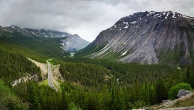 Icefields Parkway ve Cirrus dağ Banff Ulusal Parkı'nda doğal görünümünü