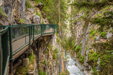 Geçit Johnston Kanyon, Bow Valley Parkway, Banff Ulusal Parkı