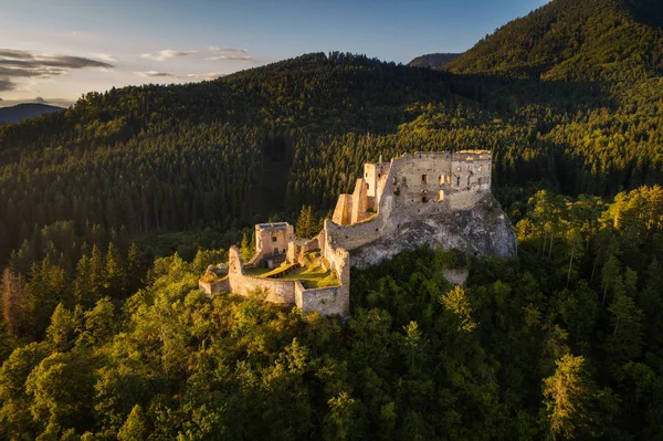 Verlassene Ruinen einer mittelalterlichen Burg im Wald — Stockfoto