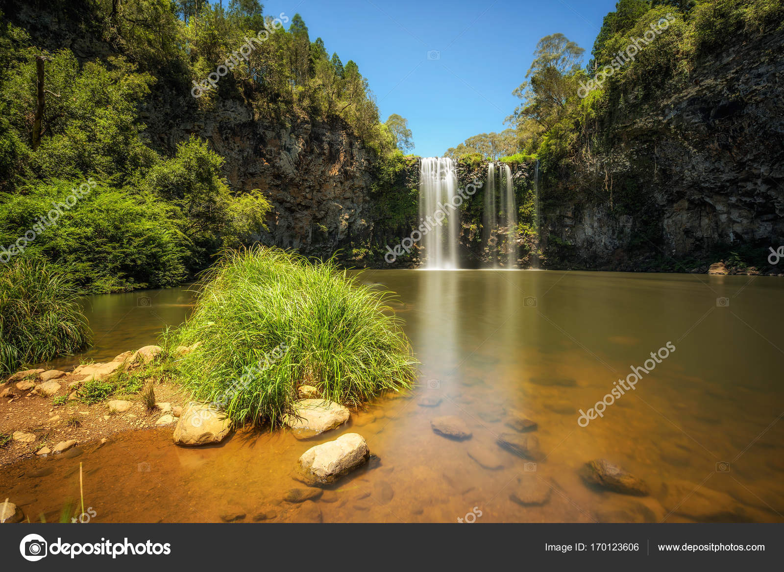 Dorrigo com