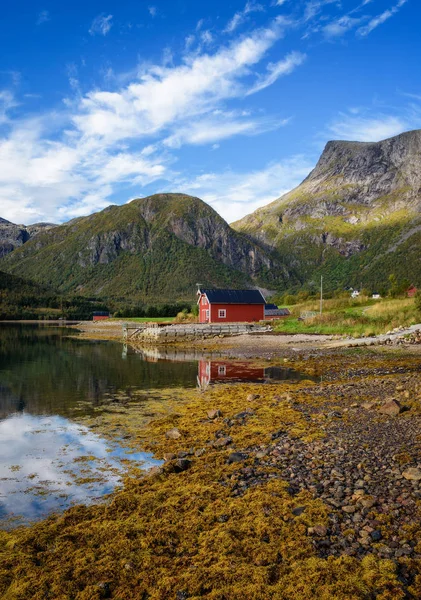 ノルウェーのロフォーテン諸島の海で伝統的な赤がりコテージ — ストック写真