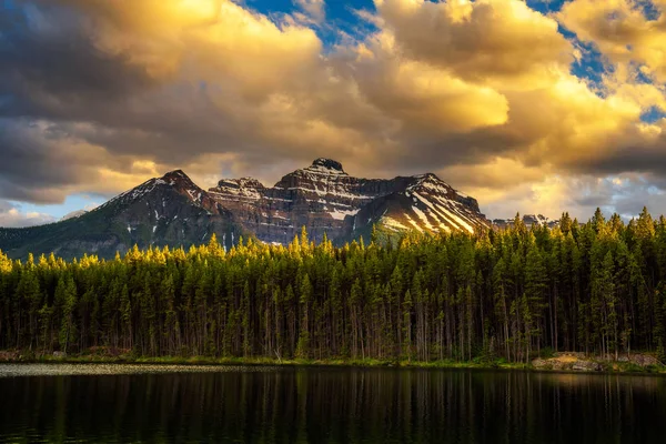 Sunset over deep forest along the Herbert Lake in Banff National Park, Canada — Stock Photo, Image