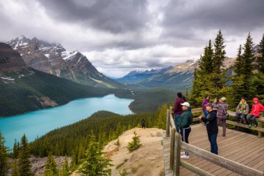 Banff Ulusal Parkı'nda Peyto gölde turist