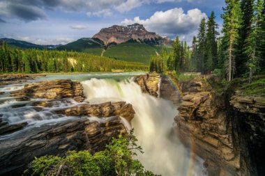 Sunwapta Falls Jasper Milli Parkı, Kanada