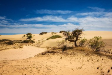 Mungo Milli Park, Avustralya