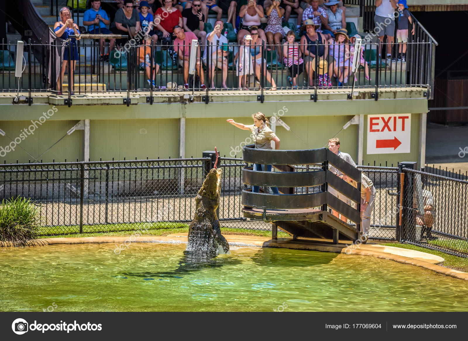 Crocodile feeding during the show at the Australia Zoo â Stock Editorial Photo © miroslav_1 #177069604 Crocodile feeding during the show at the Australia Zoo â Stock Editorial Photo © miroslav_1 #177069604