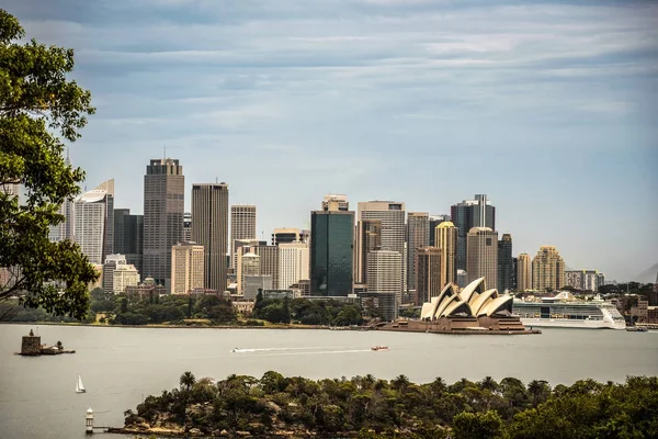 시드니 시내 타롱가 힐, 호주에서에서 본 스카이 라인 — 스톡 사진