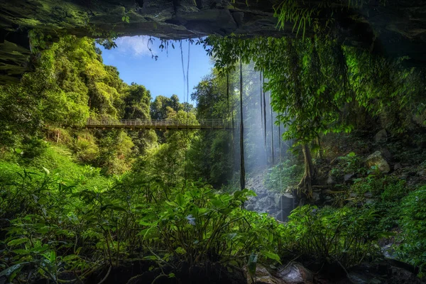 Kristall fällt im Regenwald des dorrigo Nationalparks — Stockfoto