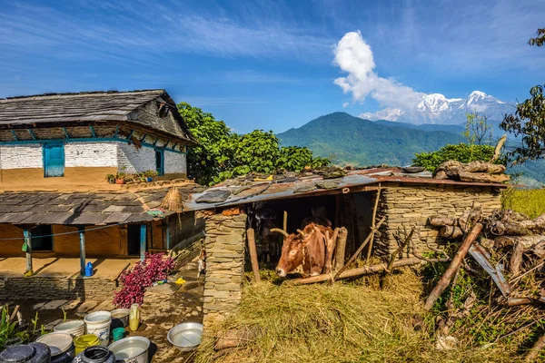 Montañas del Himalaya, una granja y un puesto cerca de Pokhara en Nepal — Foto de Stock