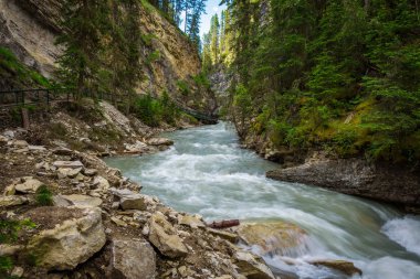 Patika boyunca Bow Valley Parkway Johnston dereye