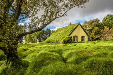 İzlanda Hof Köyü Skaftafell İzlanda kilisede çim