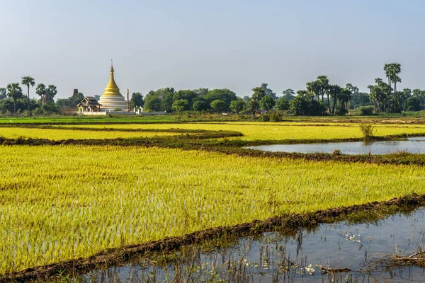 Rijstvelden en een stupa in de buurt van Mandalay, Myanmar — Stockfoto