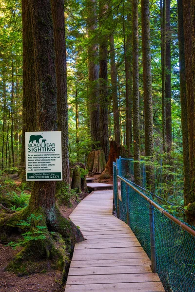 Black Bear Sighting  warning sign — Stock Photo, Image