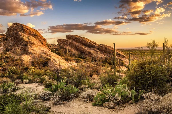 Tramonto su Javelina Rocks nel Parco Nazionale del Saguaro — Foto Stock