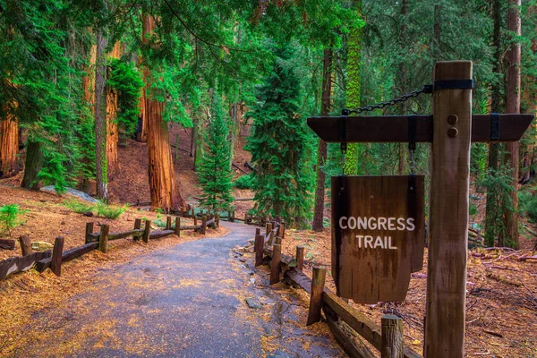 Señal de sendero del Congreso en el Parque Nacional Sequoia — Foto de Stock