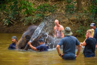 Bebek bir fil ile banyo insanlar