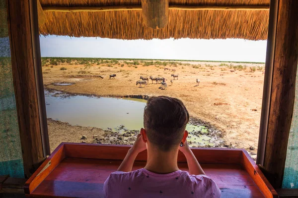 Películas turísticas vida silvestre con un teléfono inteligente en el Parque Nacional Etosha, Namibia — Foto de Stock