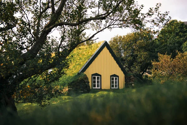 İzlanda 'nın Hof köyündeki Çim Kilisesi — Stok fotoğraf