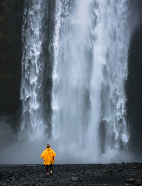 Sarı yağmurluk giyen bir turist İzlanda 'daki Skogafoss şelalesine yürür. — Stok fotoğraf