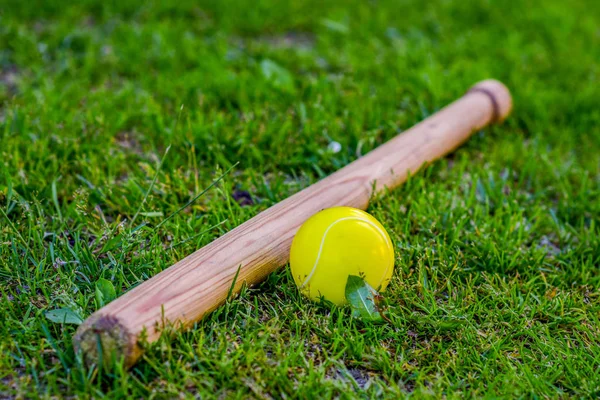 Beyzbol ve çimlerin üzerinde ev yapımı bir yarasa. Çocuk sporları kavramı