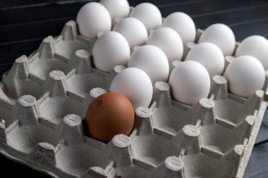 Karton yumurta tepsisinde tavuk yumurtası. Beyaz tavuk yumurtası. Tarım endüstrisi. Doğal protein..