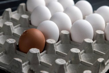 Karton yumurta tepsisinde tavuk yumurtası. Beyaz tavuk yumurtası. Tarım endüstrisi. Doğal protein..