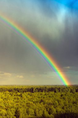 Yaz ormanı üzerinde gökkuşağı, açık gökyüzü ve açık gökkuşağı renkleri, orman yolu. Doğal bir manzara. Yağmurdan sonra gökkuşağının renkleri. Cumulonimbus bulutları.