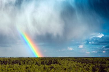 Yaz ormanı üzerinde gökkuşağı, açık gökyüzü ve açık gökkuşağı renkleri, orman yolu. Doğal bir manzara. Yağmurdan sonra gökkuşağının renkleri. Cumulonimbus bulutları.